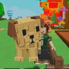 jual_petgag