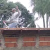 francisco.villalb565
