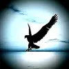 user5735167256864
