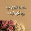 user91794566219170