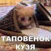 Таповёнок кузя