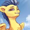 flashsentry01