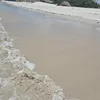 nicointravels1998