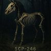 SCP_888