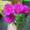 user34622761984064