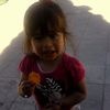 208.arii