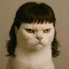 mrpispil803