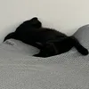 elpiederechodelisa014