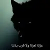 user6100451037318