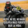 miranda.dani.mrp