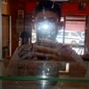 hamza.khaterchi8