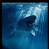mosasaurs11