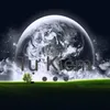 tukiem_tk