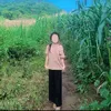 tseem.tos.hlub.ko149