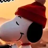 ggtytzsweyyh