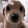 maritinha38
