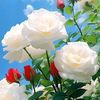 user3661996219287