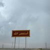 salm7755