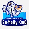 molly.fish.km6