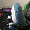 bluesharktwo