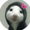tilleyjupe