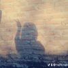 haifa.nabila59