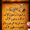 naseer.ullah780