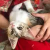 animal.lover1361