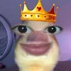 shawn_hiraynx