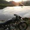 zann20314