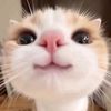 hanii_601