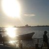 salvadorarellano974