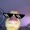 xyzbocil77