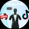harleyvrfs4