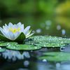 natuelbeauty