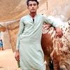 zaear.jaan