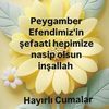 eymen.dou7