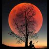 kaniya.abdo