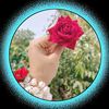 user062950331