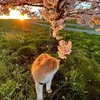 nour_hayary