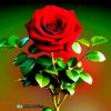 abdii.aman38