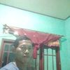 busrolana299