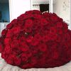 user9208434066815