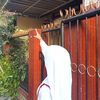 safirasafira573