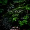 ayoubgomri299