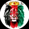 hamed.shirzad6