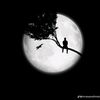 reemaa9931