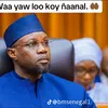 mam.baba.seck