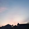 rabiya_1105