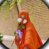 fareda.bkoor.abd